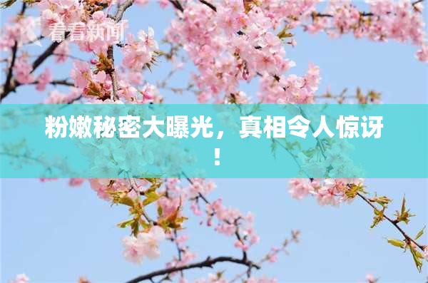 粉嫩秘密大曝光，真相令人惊讶！