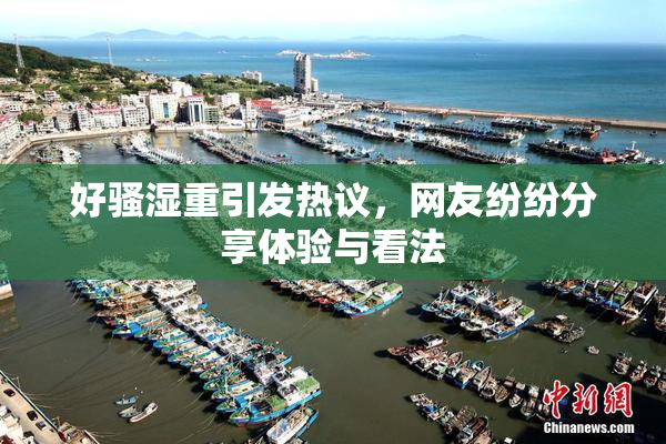好骚湿重引发热议，网友纷纷分享体验与看法