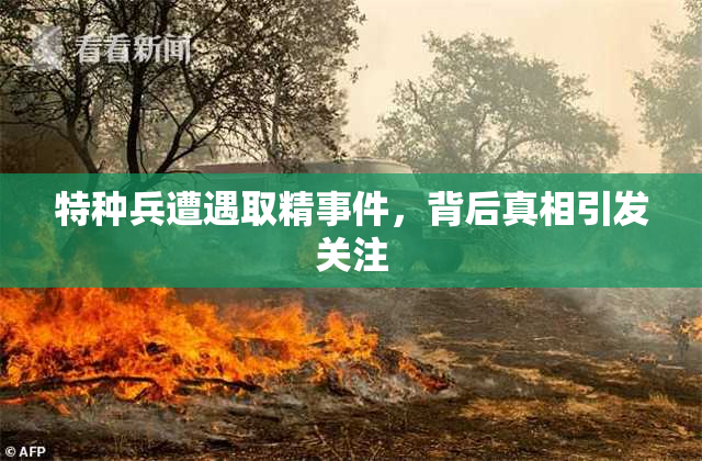 特种兵遭遇取精事件，背后真相引发关注
