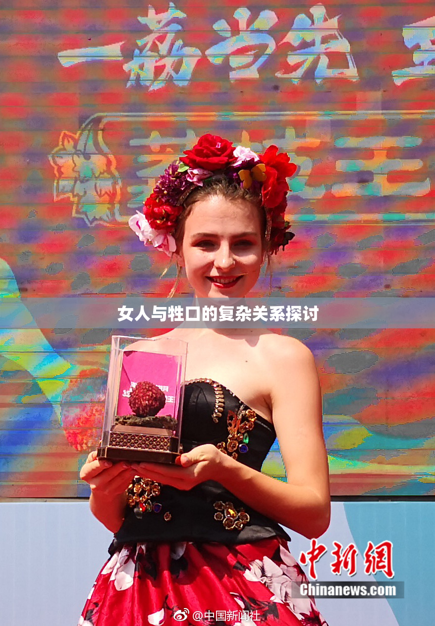 女人与牲口的复杂关系探讨