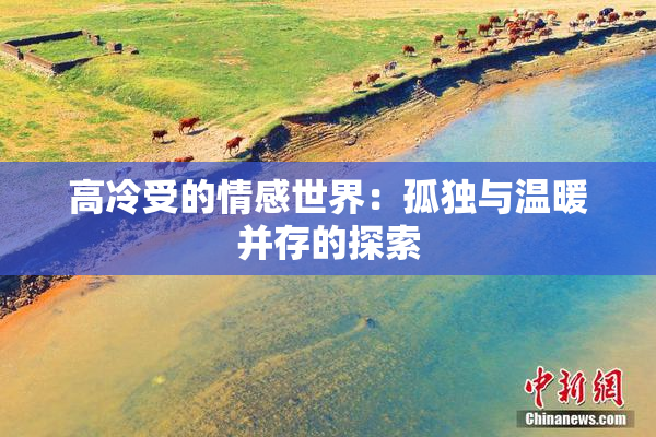 高冷受的情感世界：孤独与温暖并存的探索