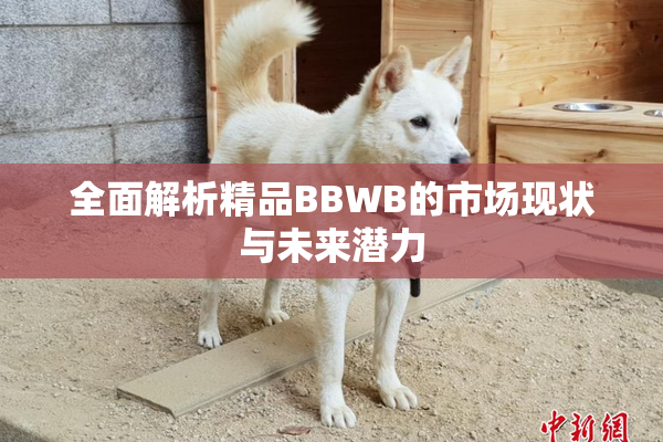 全面解析精品BBWB的市场现状与未来潜力