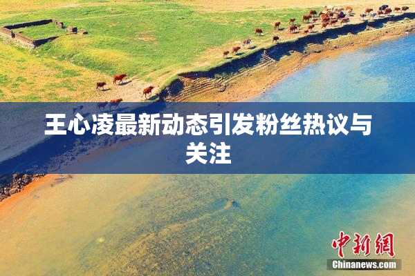 王心凌最新动态引发粉丝热议与关注