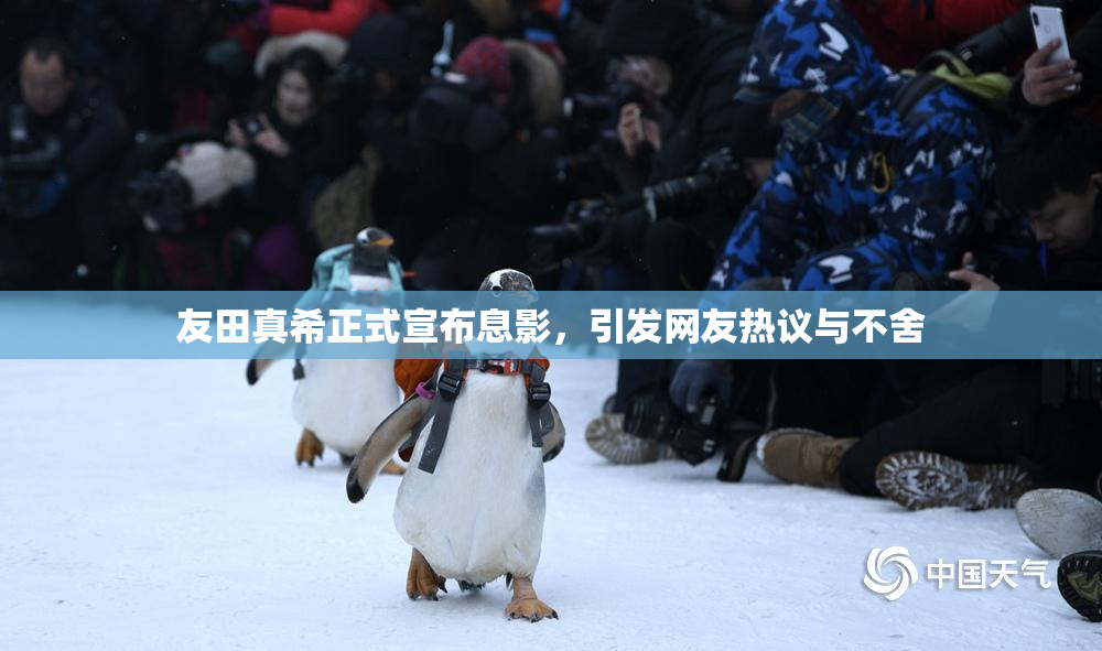 友田真希正式宣布息影，引发网友热议与不舍