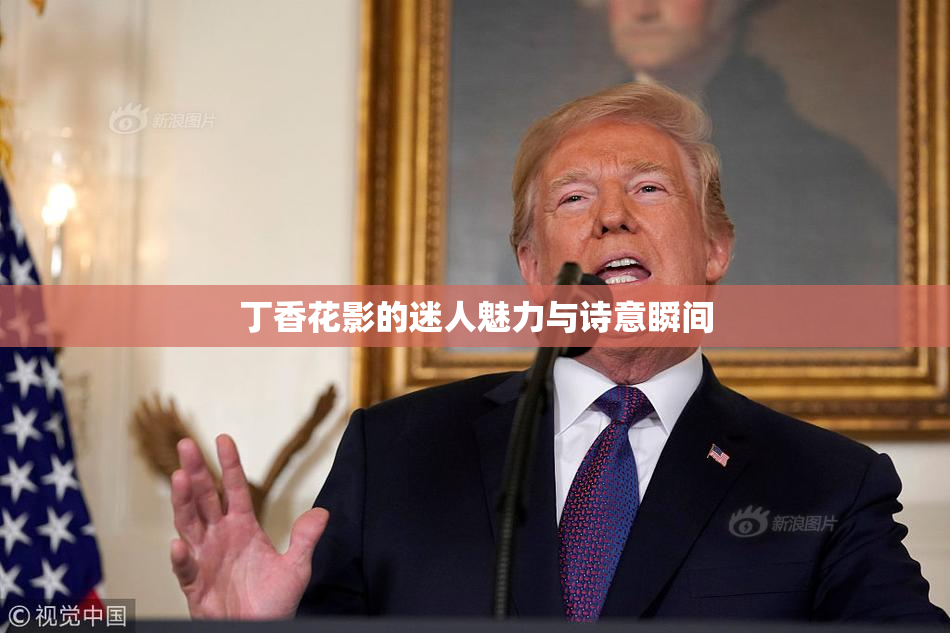 丁香花影的迷人魅力与诗意瞬间