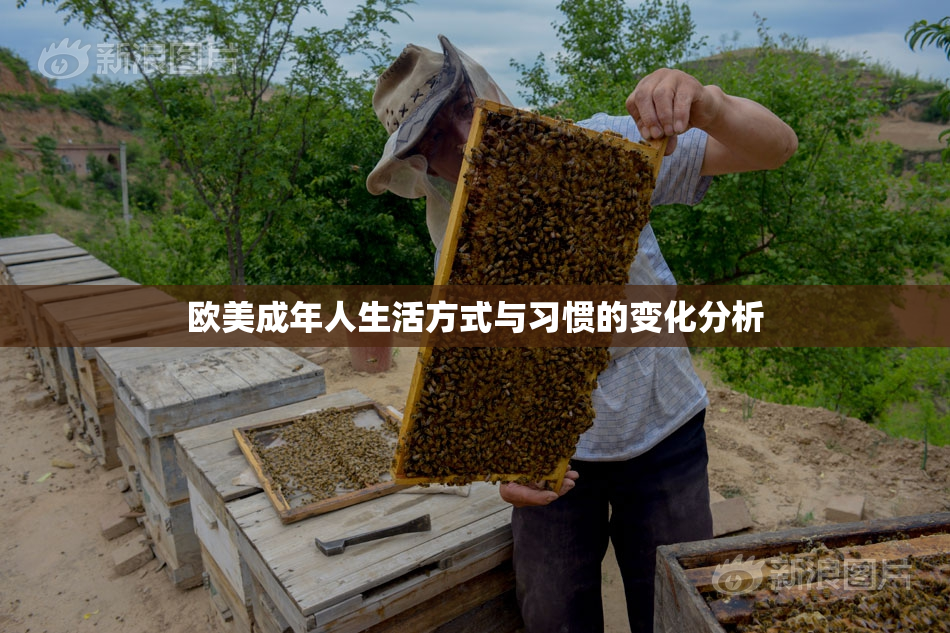 欧美成年人生活方式与习惯的变化分析