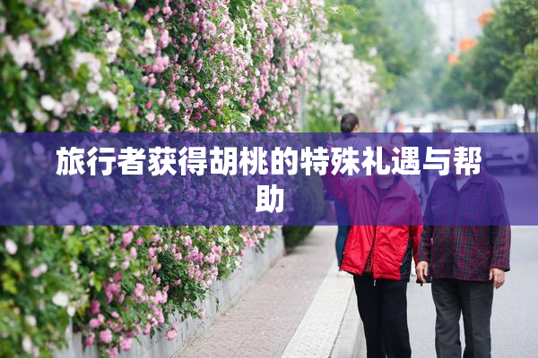 旅行者获得胡桃的特殊礼遇与帮助