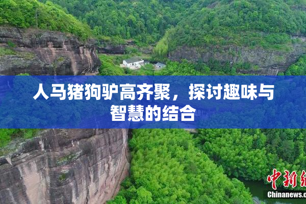 人马猪狗驴高齐聚，探讨趣味与智慧的结合