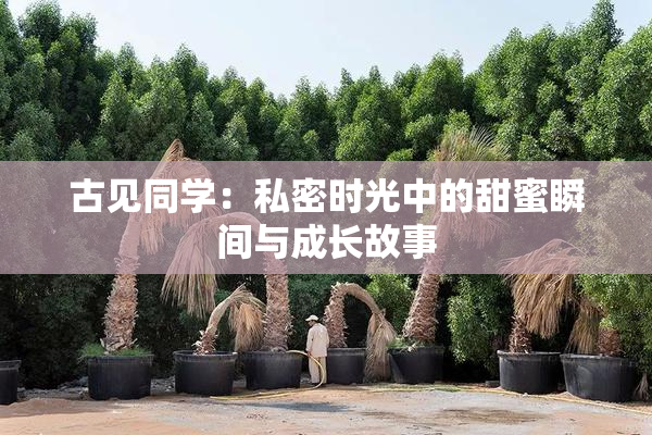 古见同学：私密时光中的甜蜜瞬间与成长故事
