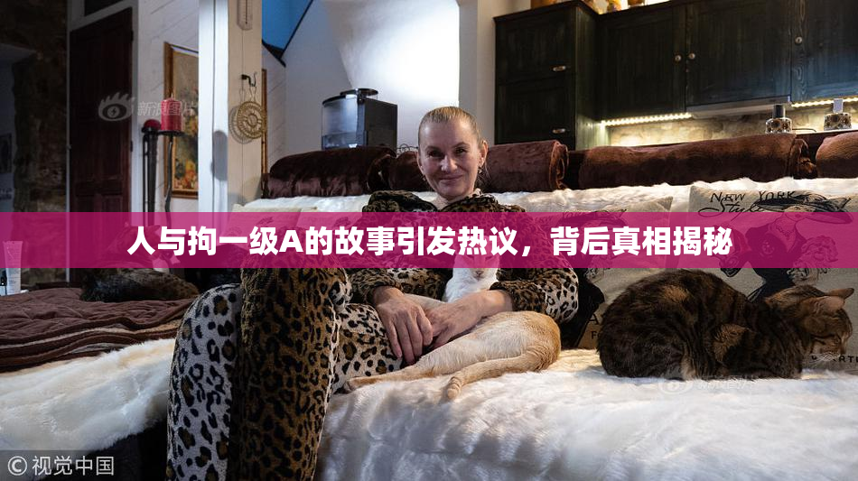 人与拘一级A的故事引发热议，背后真相揭秘