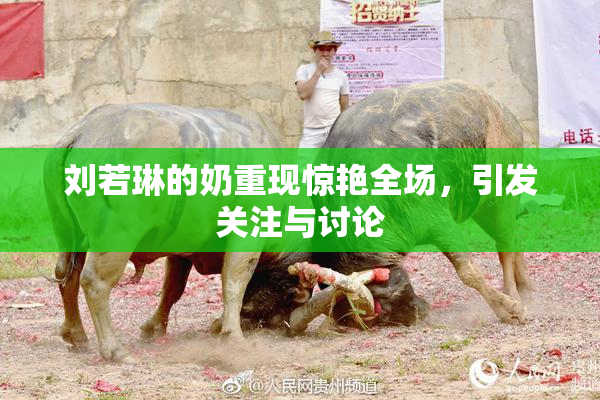 刘若琳的奶重现惊艳全场，引发关注与讨论