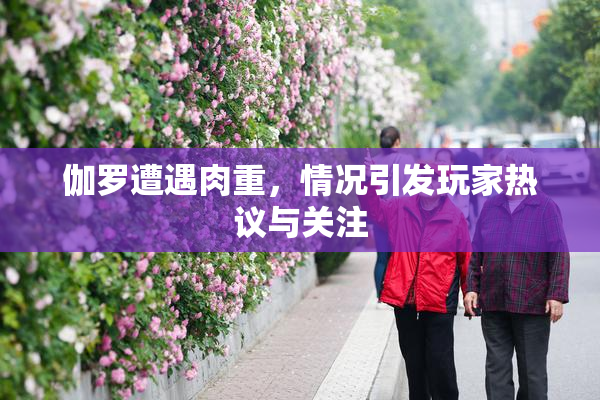 伽罗遭遇肉重，情况引发玩家热议与关注