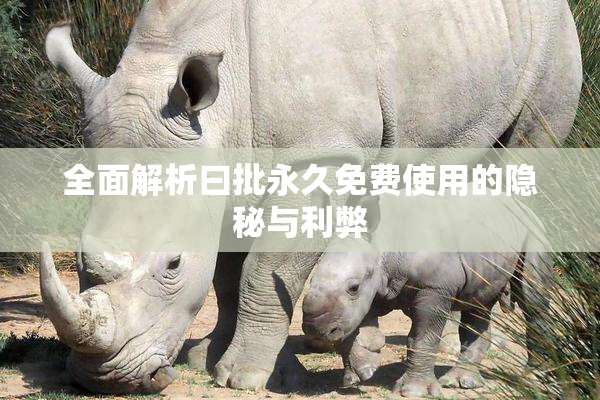 全面解析曰批永久免费使用的隐秘与利弊