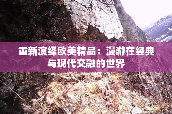 重新演绎欧美精品：漫游在经典与现代交融的世界