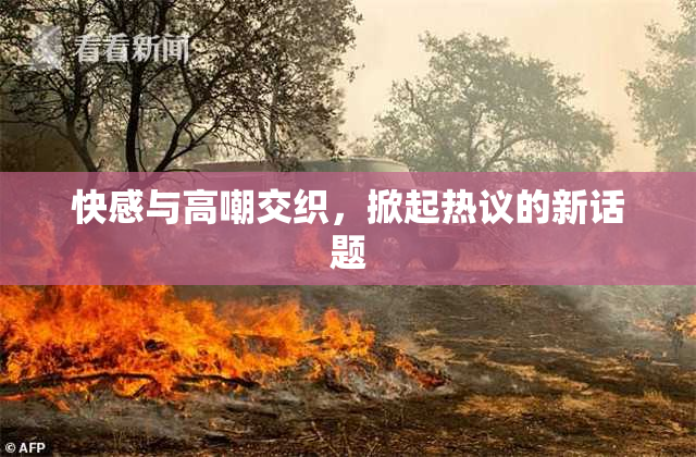 快感与高嘲交织，掀起热议的新话题