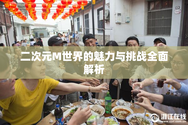 二次元M世界的魅力与挑战全面解析