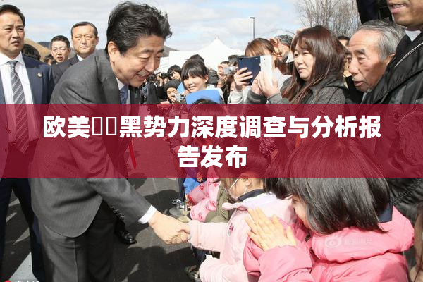 欧美❌‌黑势力深度调查与分析报告发布