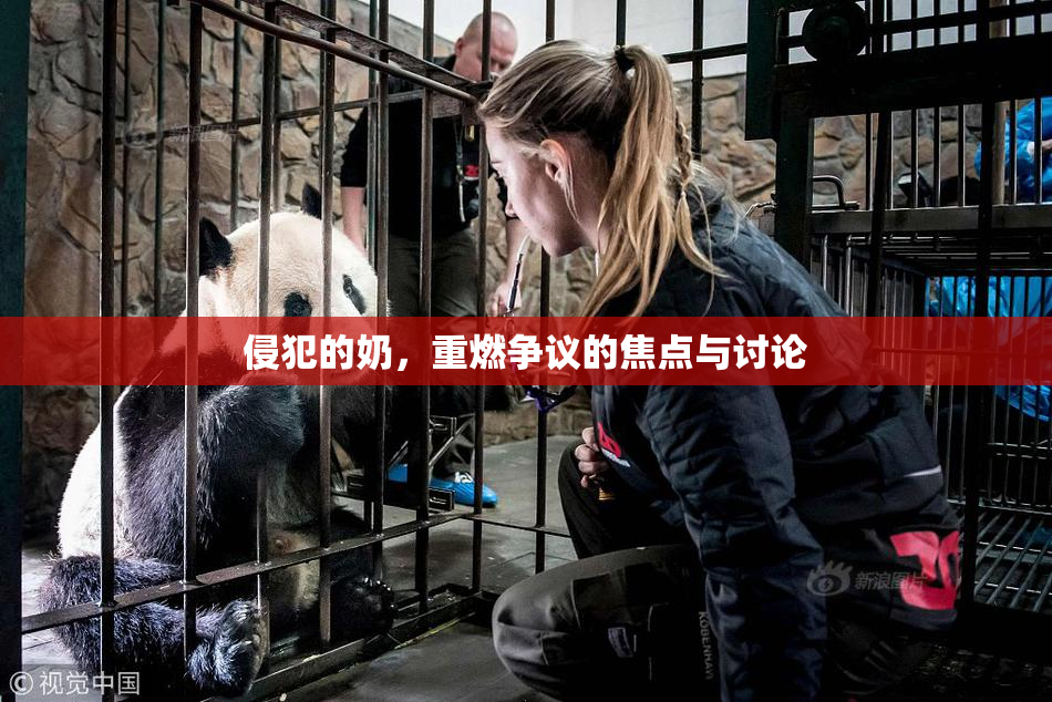 侵犯的奶，重燃争议的焦点与讨论