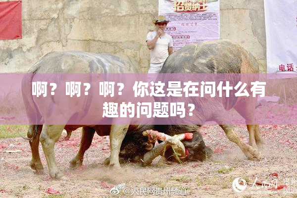 啊？啊？啊？你这是在问什么有趣的问题吗？