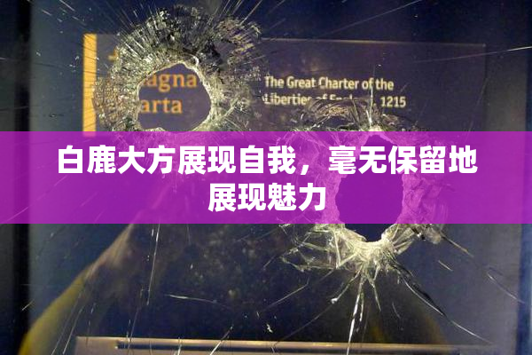 白鹿大方展现自我，毫无保留地展现魅力