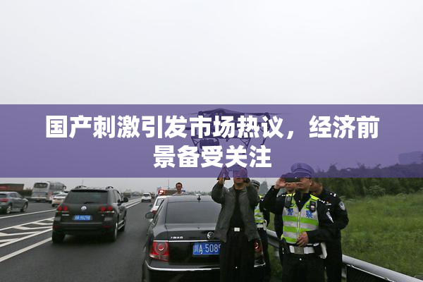 国产刺激引发市场热议，经济前景备受关注