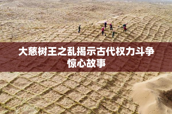 大慈树王之乱揭示古代权力斗争惊心故事