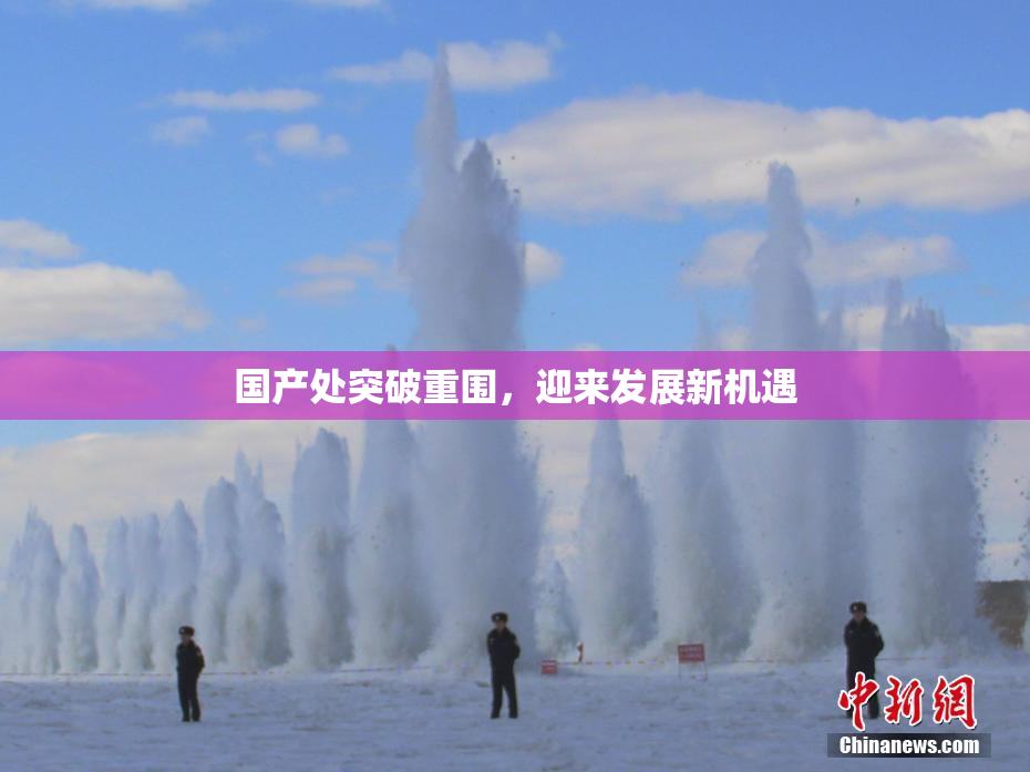国产处突破重围，迎来发展新机遇