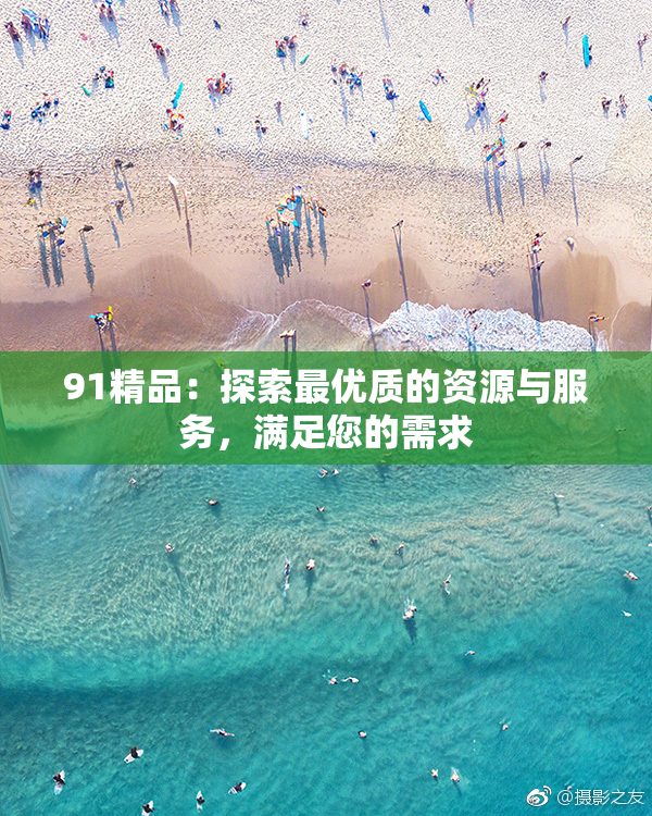 91精品：探索最优质的资源与服务，满足您的需求