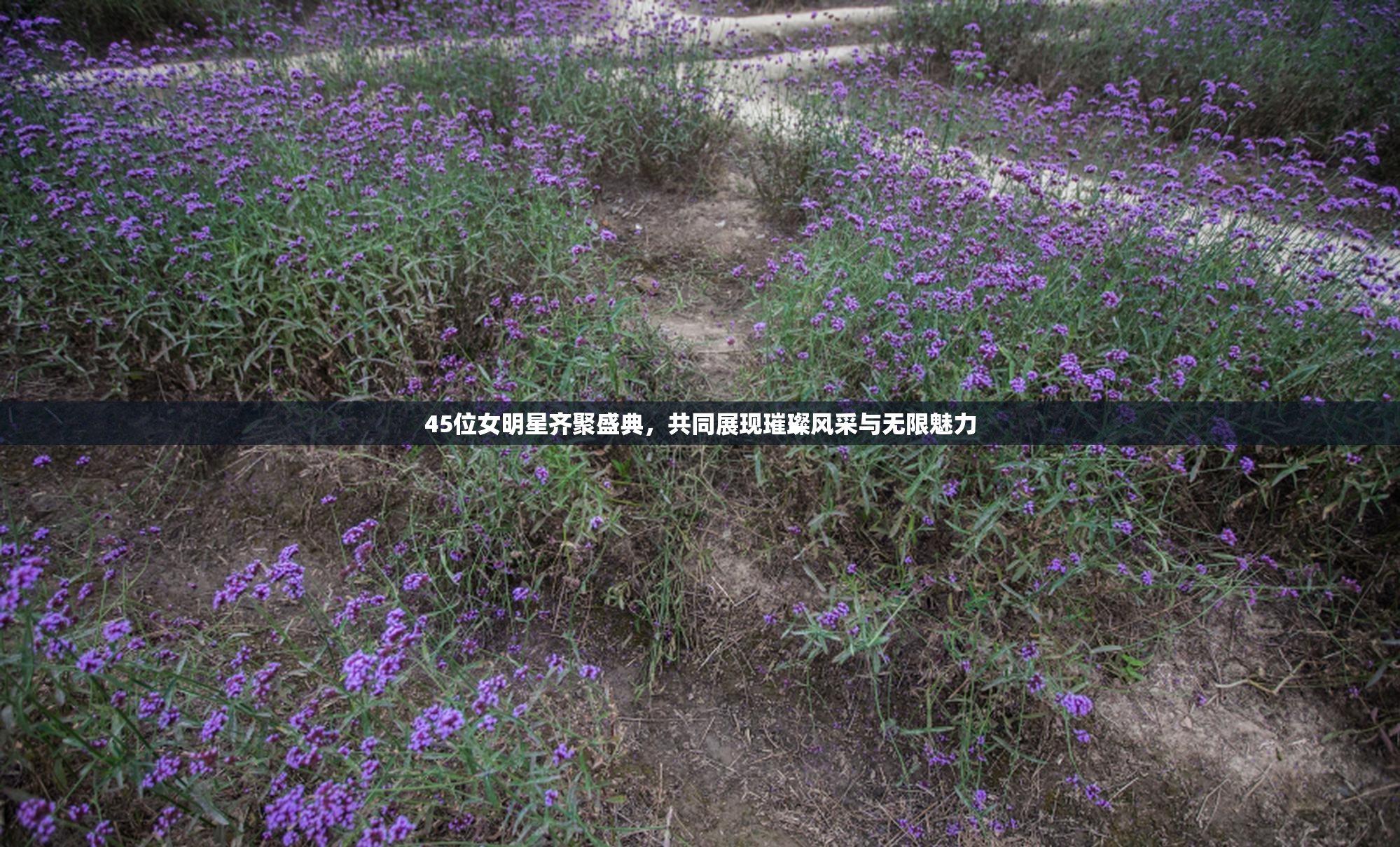 45位女明星齐聚盛典，共同展现璀璨风采与无限魅力