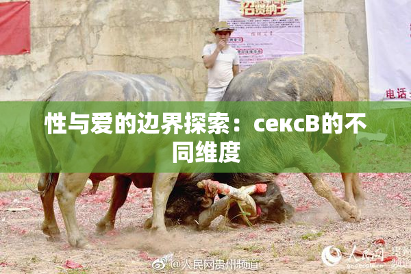 性与爱的边界探索：сексB的不同维度