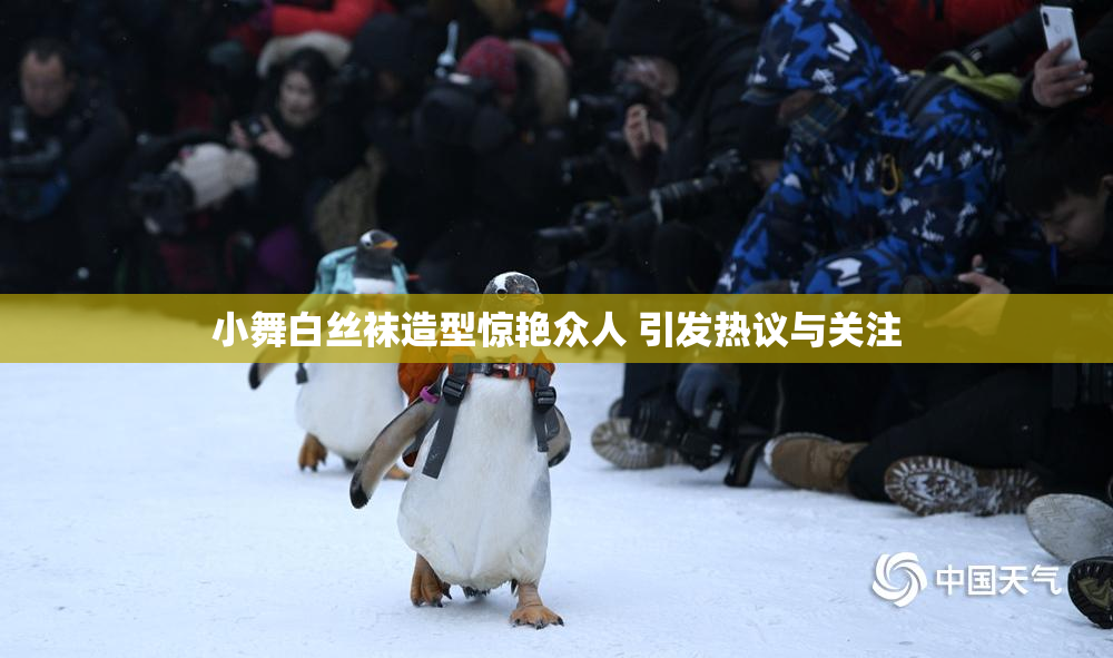 小舞白丝袜造型惊艳众人 引发热议与关注