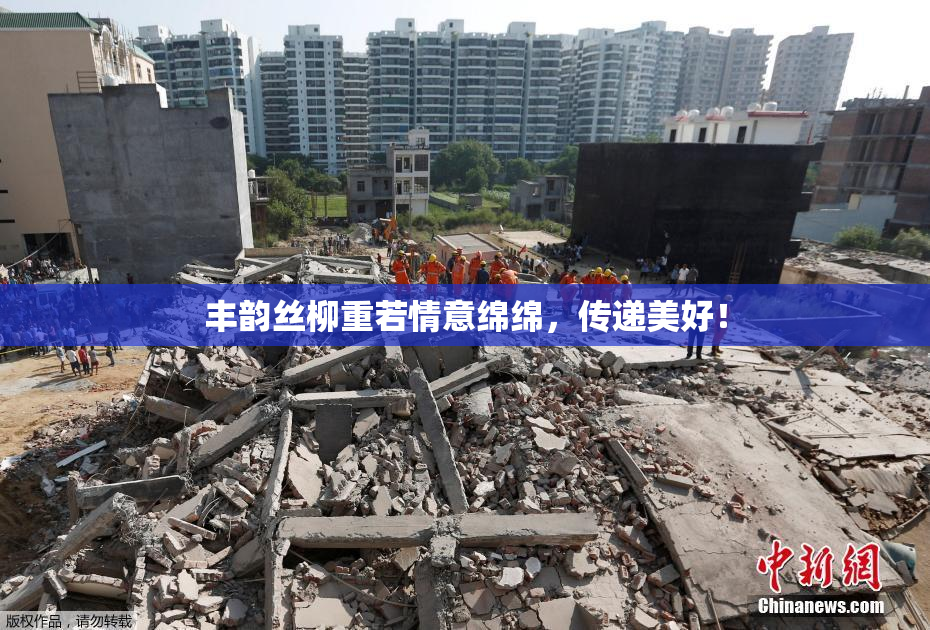 丰韵丝柳重若情意绵绵，传递美好！