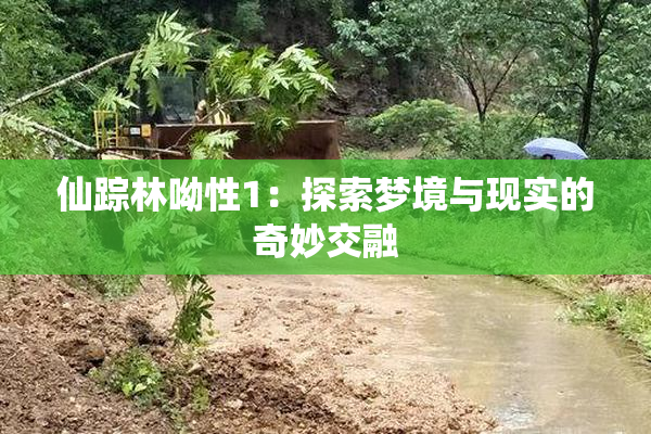 仙踪林呦性1：探索梦境与现实的奇妙交融