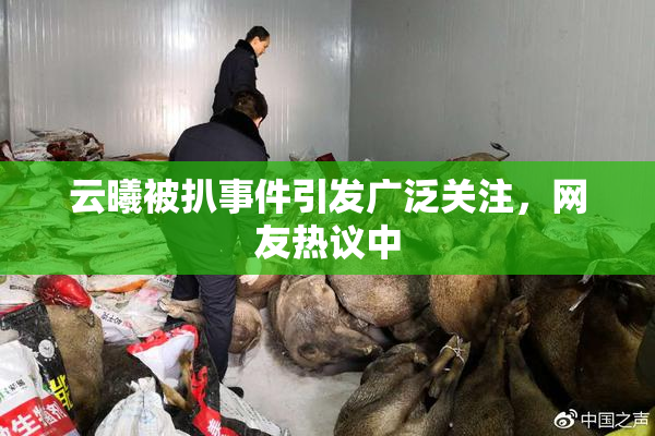云曦被扒事件引发广泛关注，网友热议中