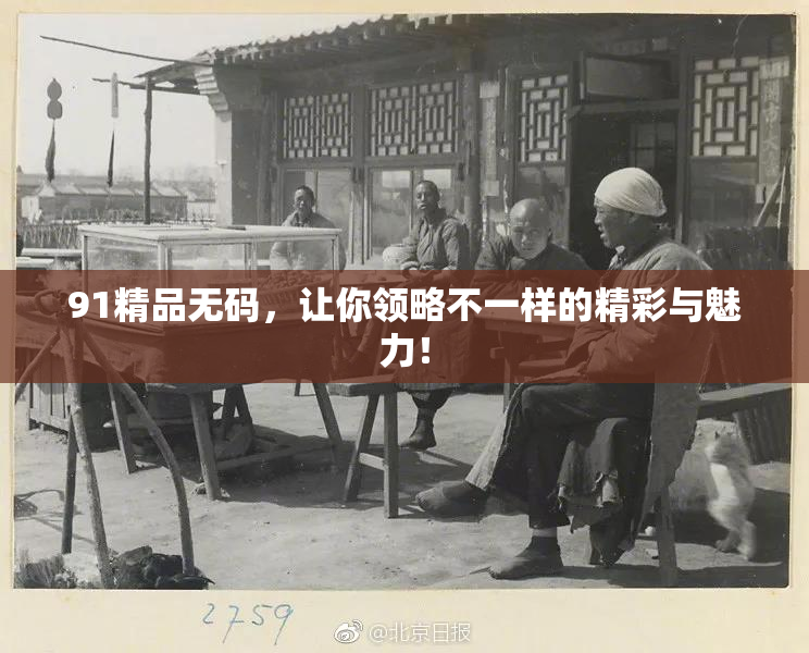 91精品无码，让你领略不一样的精彩与魅力！