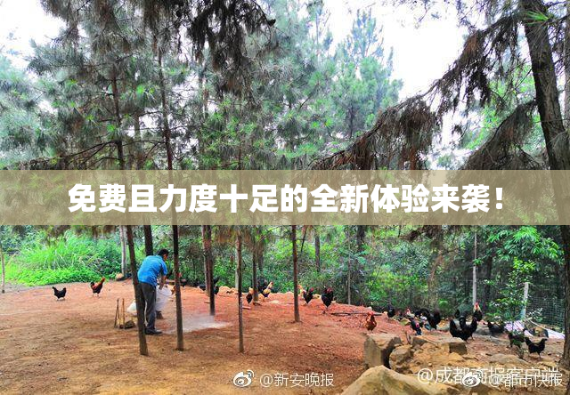 免费且力度十足的全新体验来袭！