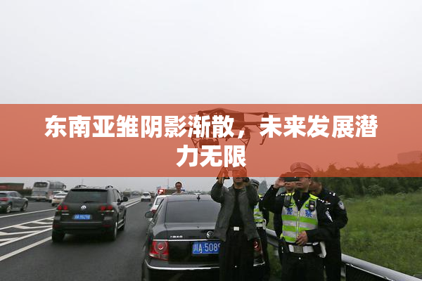 东南亚雏阴影渐散，未来发展潜力无限