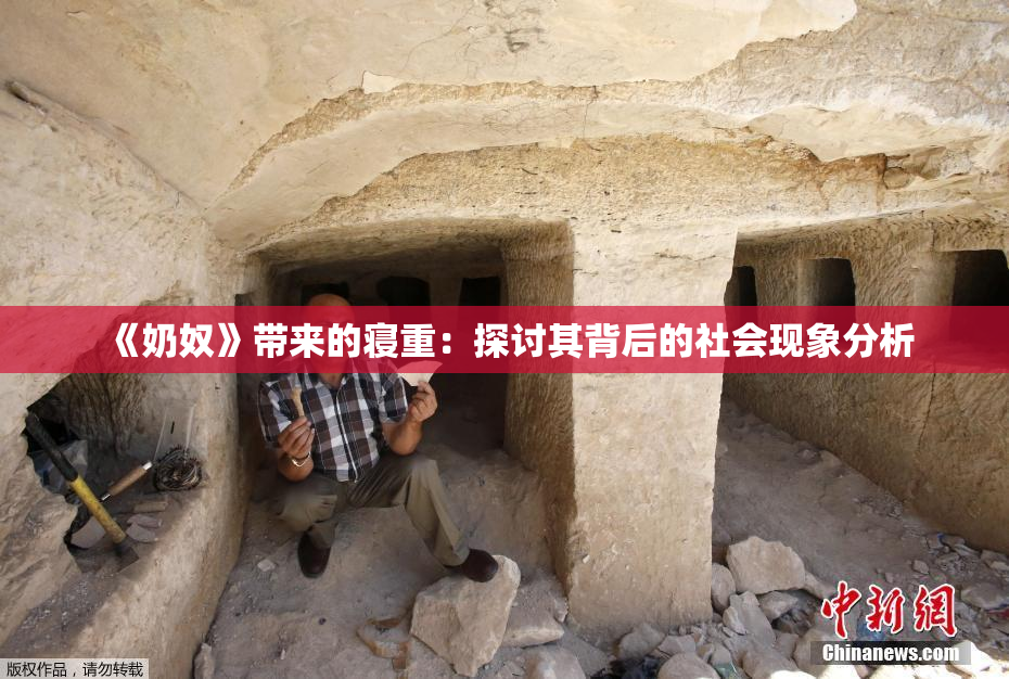 《奶奴》带来的寝重：探讨其背后的社会现象分析