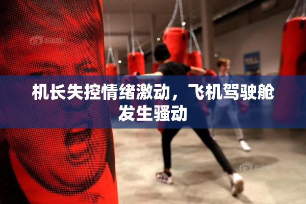 机长失控情绪激动，飞机驾驶舱发生骚动