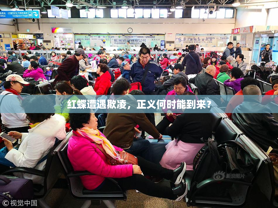 红蝶遭遇欺凌，正义何时能到来？