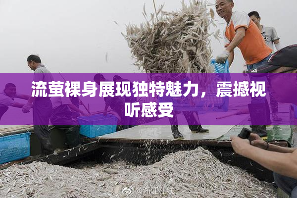 流萤裸身展现独特魅力，震撼视听感受