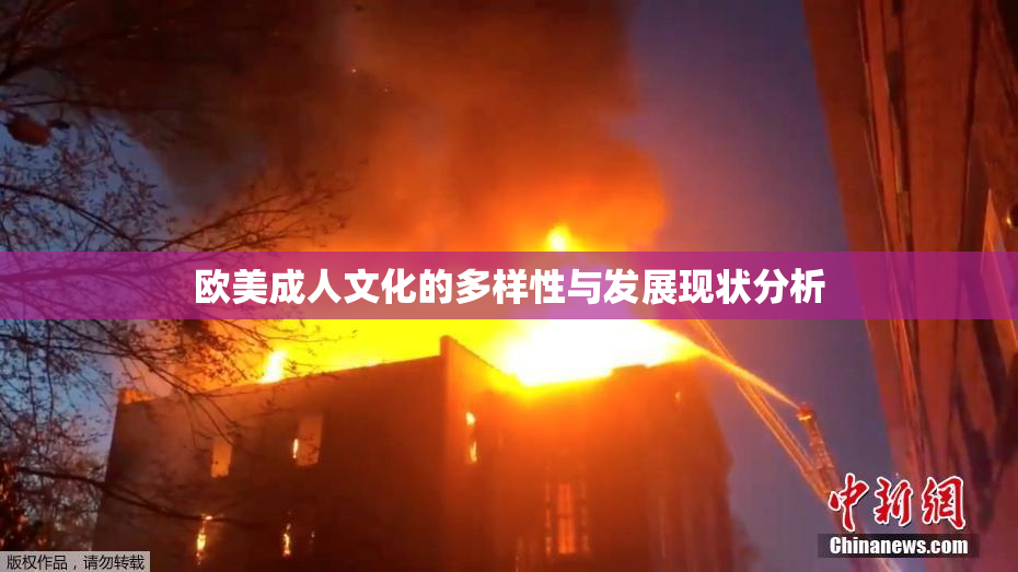 欧美成人文化的多样性与发展现状分析