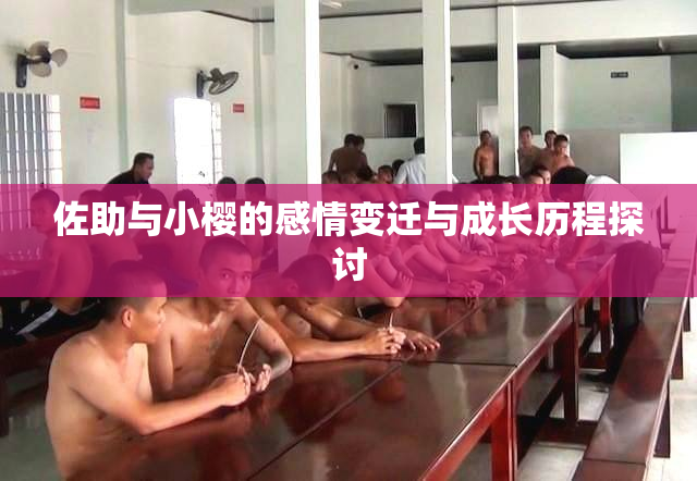 佐助与小樱的感情变迁与成长历程探讨