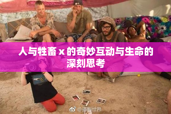 人与牲畜ⅹ的奇妙互动与生命的深刻思考