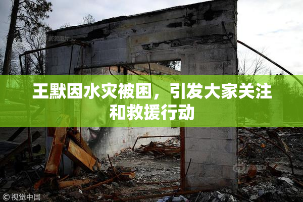 王默因水灾被困，引发大家关注和救援行动