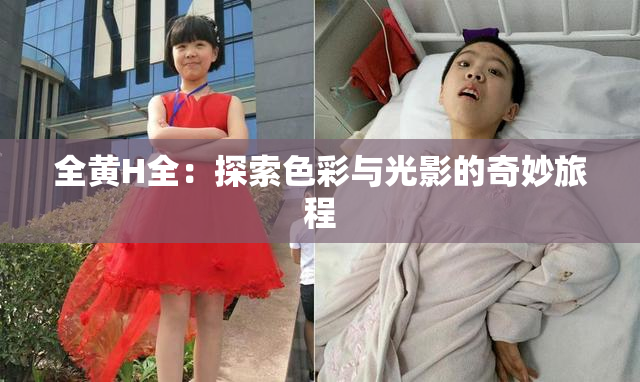 全黄H全：探索色彩与光影的奇妙旅程