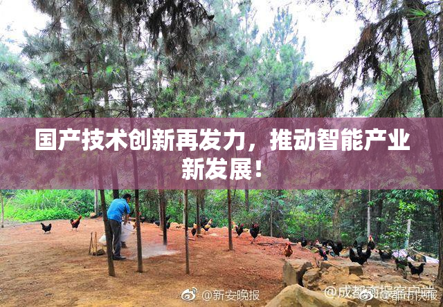 国产技术创新再发力，推动智能产业新发展！