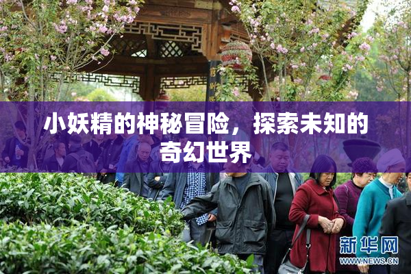 小妖精的神秘冒险，探索未知的奇幻世界