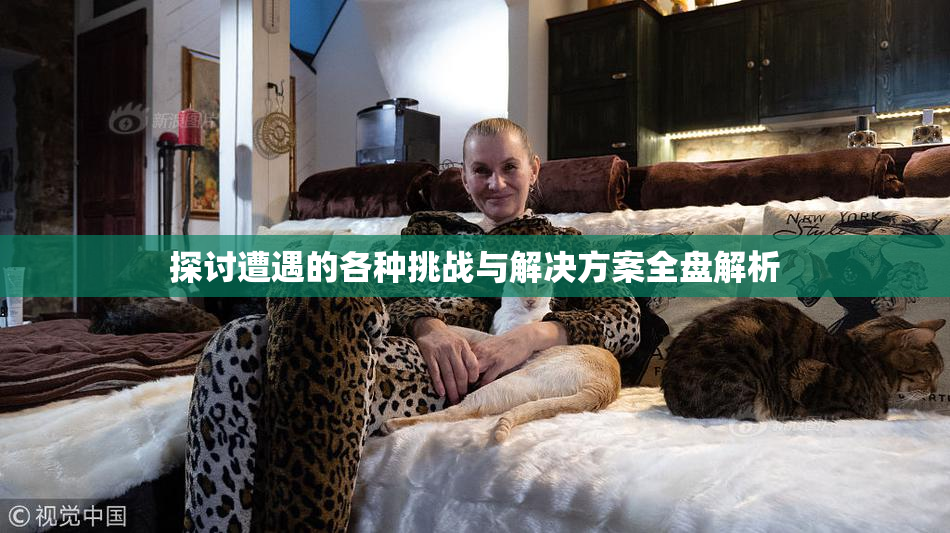 探讨遭遇的各种挑战与解决方案全盘解析