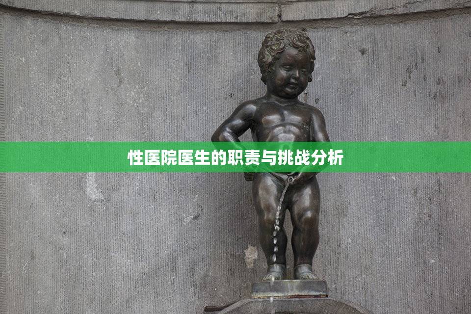 性医院医生的职责与挑战分析